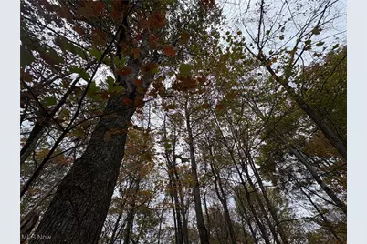 33855 State Route 800, New Matamoras, OH 45767 - Photo 25