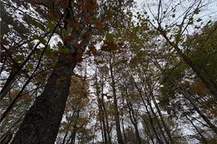 33855 State Route 800, New Matamoras, OH 45767 - Photo 25