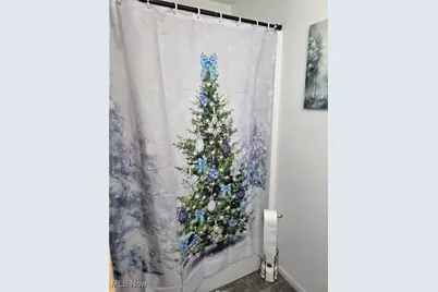 508 Virginia Street, Tiltonsville, OH 43963 - Photo 19