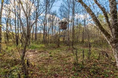 59501 Nevada Road, Quaker City, OH 43773 - Photo 45