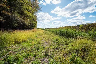 3261 Moffett Rd, Lucas, OH 44843 - Photo 31