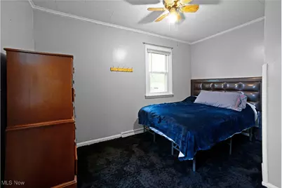 379 S Salem Warren Road, North Jackson, OH 44451 - Photo 17