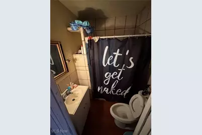 12510 Locke Avenue, Loveland, OH 44108 - Photo 11