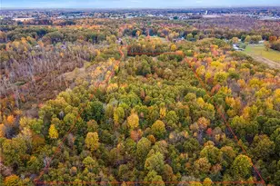 6050 Shafer Rd, Warren, OH 44481 - Photo 43