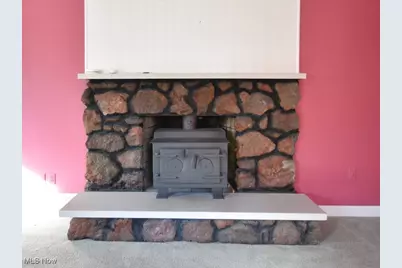 7340 Cadle Avenue, Mentor, OH 44060 - Photo 9