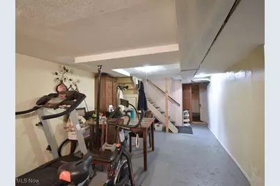 169 W South Street, Painesville, OH 44077 - Photo 43