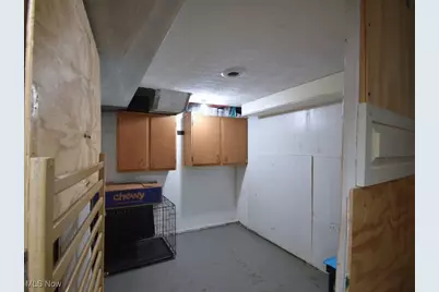 169 W South Street, Painesville, OH 44077 - Photo 41