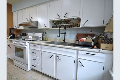 169 W South Street, Painesville, OH 44077 - Photo 25