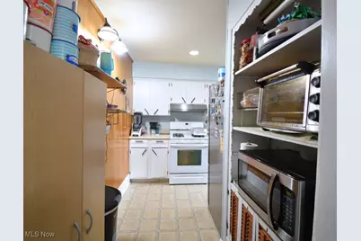 169 W South Street, Painesville, OH 44077 - Photo 29