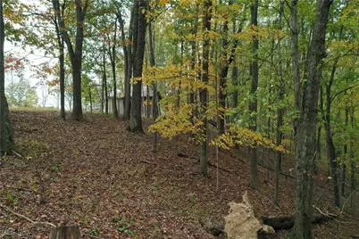 731 Riffle Run Road, Grantsville, WV 26147 - Photo 25