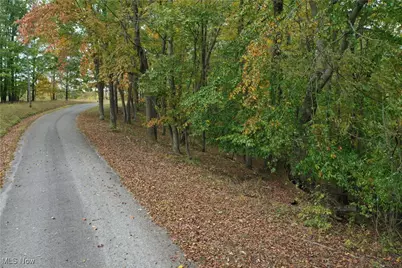 731 Riffle Run Road, Grantsville, WV 26147 - Photo 15