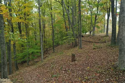 731 Riffle Run Road, Grantsville, WV 26147 - Photo 21