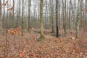 4902 Leslie Rd, Rock Creek, OH 44084 - Photo 31