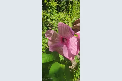 4018 Windsor Road, Boardman, OH 44512 - Photo 39