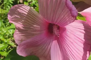 4018 Windsor Rd, Boardman, OH 44512 - Photo 39