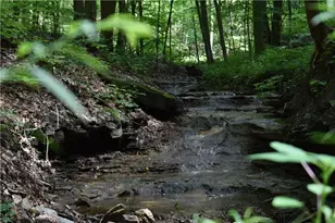 6287 Riverview Rd, Peninsula, OH 44264 - Photo 33