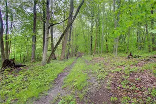 3637 Old Forge Rd, Rootstown, OH 44272 - Photo 13