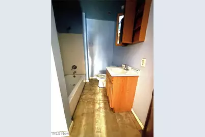 3927 E 153rd Street, Loveland, OH 44128 - Photo 47