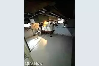 3707 Newark Street, Loveland, OH 44128 - Photo 9