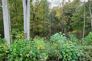 8540 River View Dr, Garrettsville, OH 44231 - Photo 49