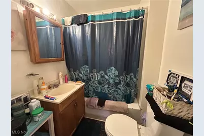 1012 E 72nd Place, Loveland, OH 44103 - Photo 17