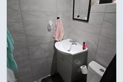 4602 Roadoan Road, Loveland, OH 44144 - Photo 15