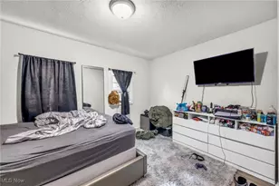 3103 Ruby Ave, Loveland, OH 44109 - Photo 23