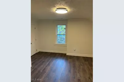 2312 W 10th Street, Loveland, OH 44113 - Photo 9