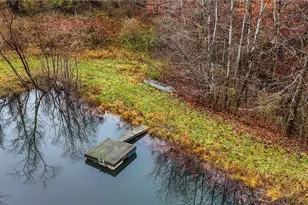 435 Croston Rd, Chesterhill, OH 43787 - Photo 41