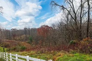 435 Croston Rd, Chesterhill, OH 43787 - Photo 31