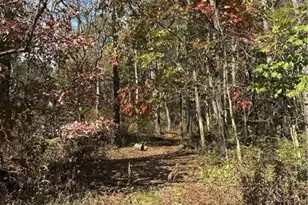 48908 McCoy, East Liverpool, OH 43920 - Photo 15