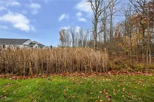 3784 Firethorn Drive, Aurora, OH 44202 - Photo 41