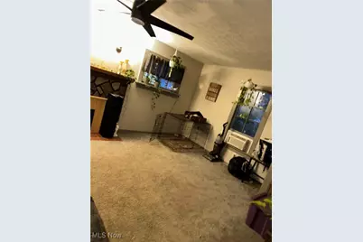 378 W 35th Street, Ashtabula, OH 44004 - Photo 7