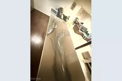 1040 E 177th Street, Loveland, OH 44119 - Photo 23