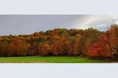 35447 County Road 99, Warsaw, OH 43844 - Photo 21