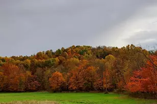 35447 Co Rd 99, Warsaw, OH 43844 - Photo 21