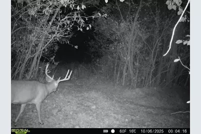 35447 County Road 99, Warsaw, OH 43844 - Photo 25