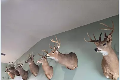 35450 County Road 99, Warsaw, OH 43844 - Photo 25