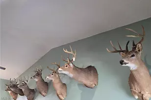 35447 Co Rd 99, Warsaw, OH 43844 - Photo 25