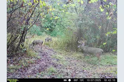 35447 County Road 99, Warsaw, OH 43844 - Photo 23