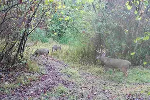 35447 Co Rd 99, Warsaw, OH 43844 - Photo 23