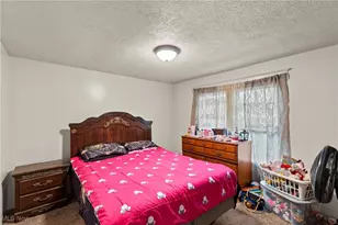 56065 National Rd, Bridgeport, OH 43912 - Photo 13