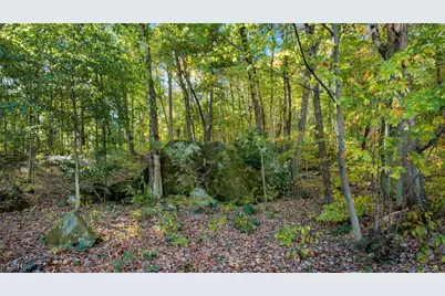 17981 Township Road 347, Coshocton, OH 43812 - Photo 35