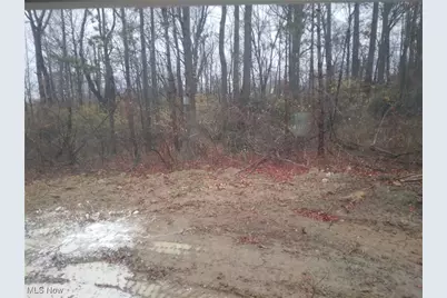 2875 Grayson Drive, Medina, OH 44256 - Photo 25