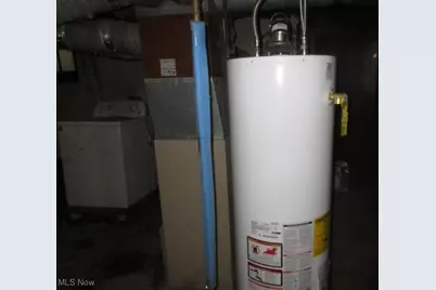 8420 Vineyard Avenue, Loveland, OH 44105 - Photo 17