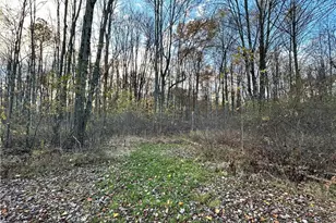 651 Parker Rd, Aurora, OH 44202 - Photo 43