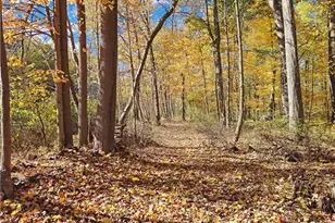 2264 River Rd, Willoughby Hills, OH 44094 - Photo 39