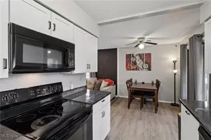 1010 Cree Ave, Akron, OH 44305 - Photo 15