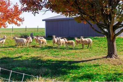 2057 State Route 89, Jeromesville, OH 44840 - Photo 25