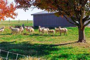 2057 State Route 89, Jeromesville, OH 44840 - Photo 25